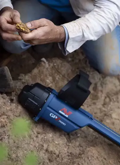 Raw Gold Detector